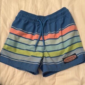 Vibrant Striped Swim Shorts